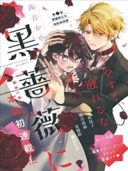 单元结构型中文字幕高清电视剧标本封面